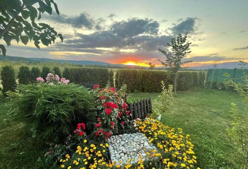 פנסיון Guest House Belchin View