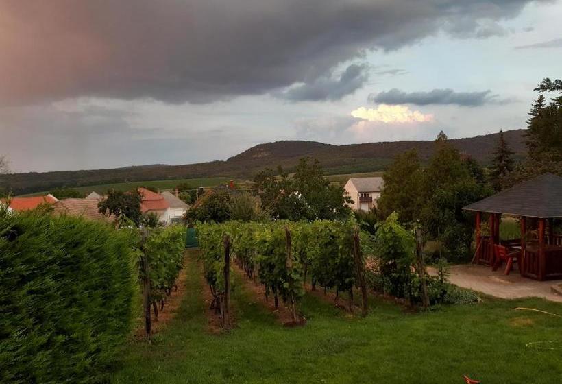 بنسيون Rózsa Vendégház