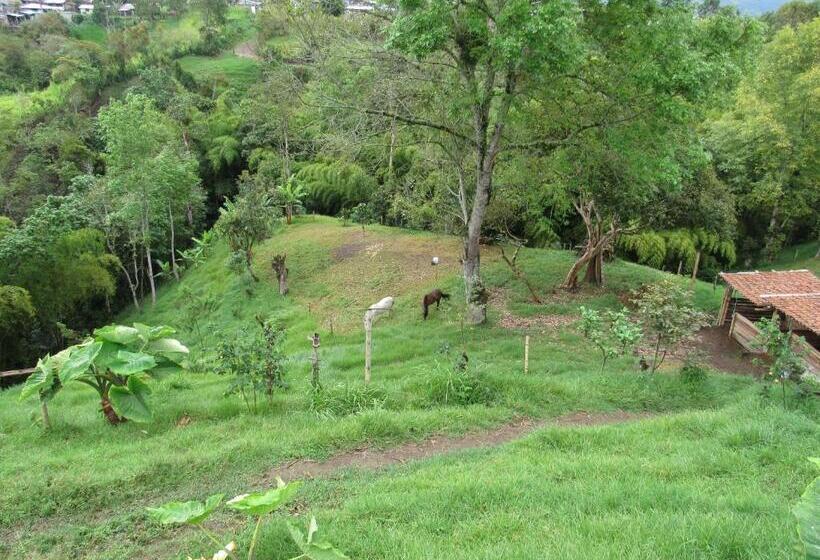 Coffee Tree Boutique Hostel