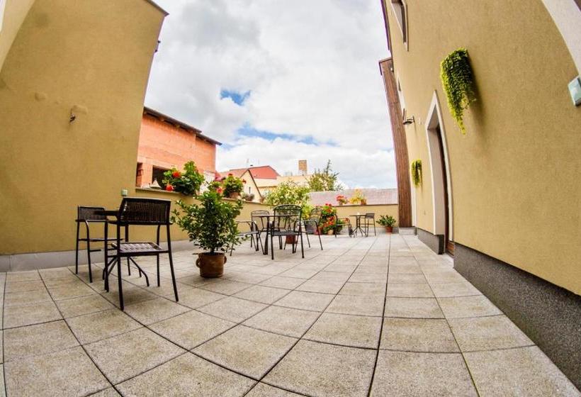 پانسیون Penzion Černej Pták