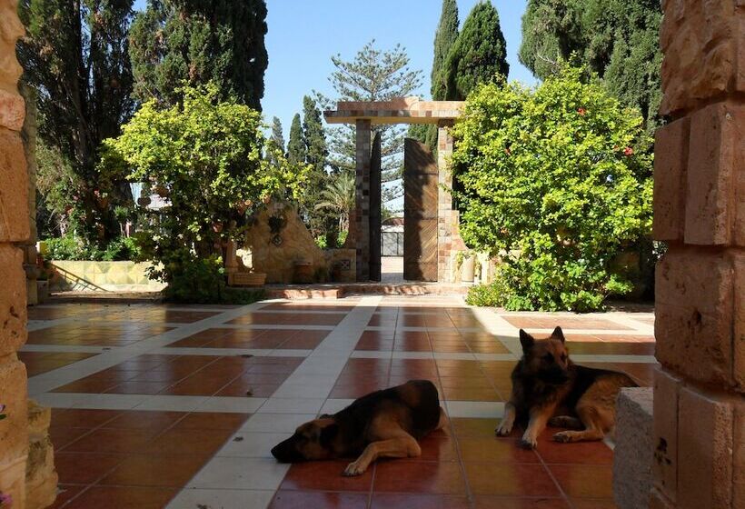 هتل Ben's House