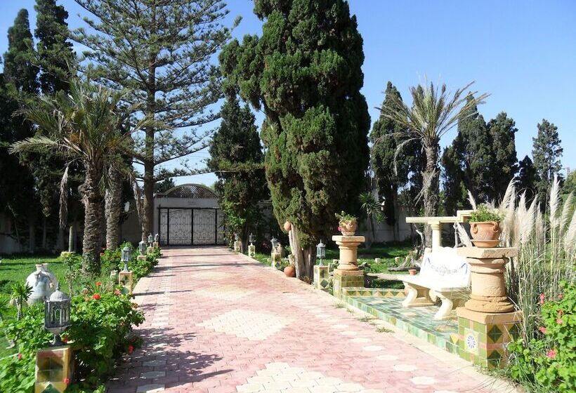 هتل Ben's House