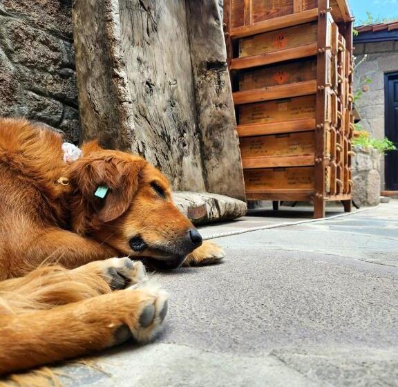 مبيت وإفطار Assos Sunset Boutique