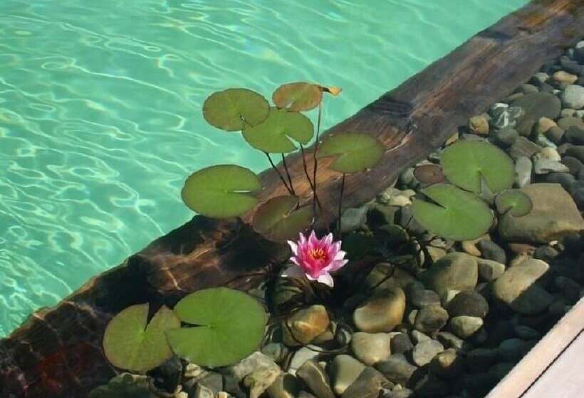 住宿加早餐  Chambres D Hotes Coeur De Sundgau