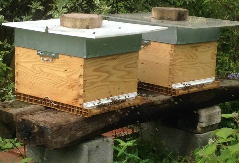 住宿加早餐  Chambres D Hotes Coeur De Sundgau