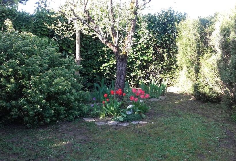 ベッドアンドブレックファースト Chambres Du Jardin Fleuri