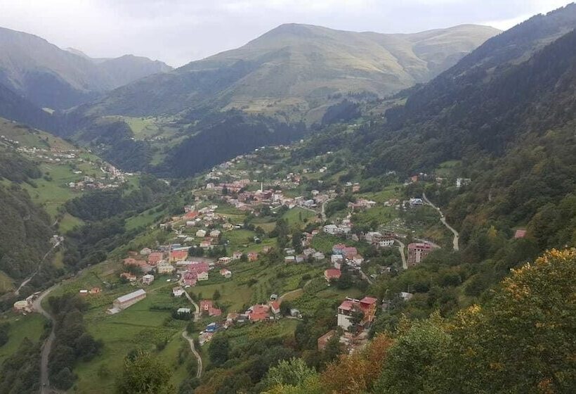 Hamsikoy Tas Otel