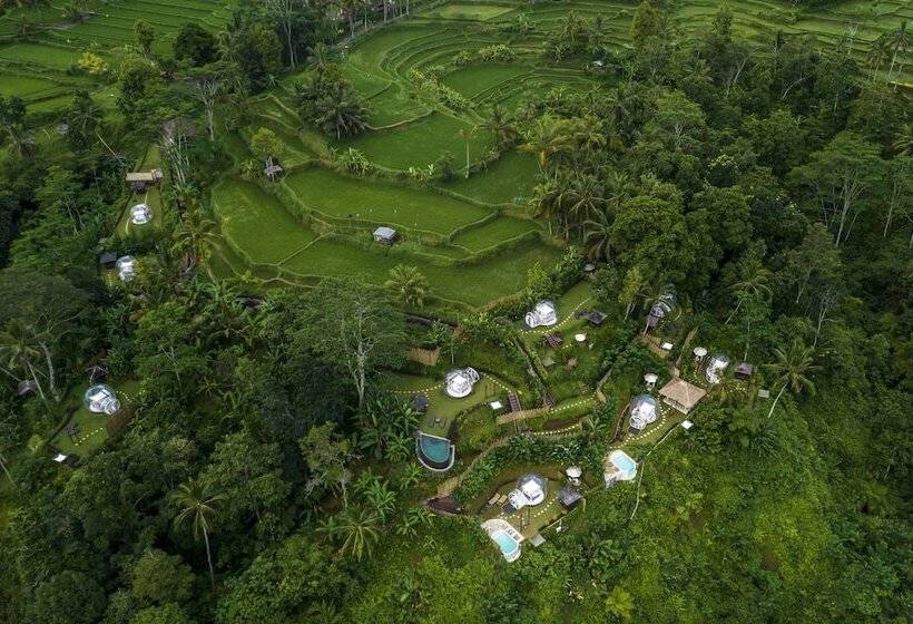 Bubble Hotel Bali Ubud   Adults Only