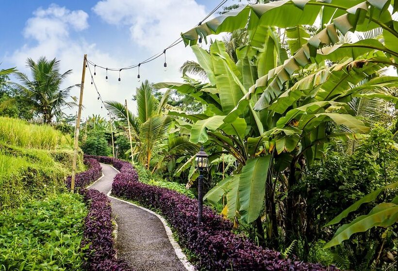 Bubble Hotel Bali Ubud   Adults Only