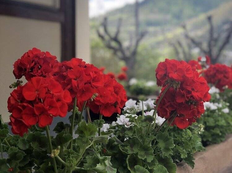 בית מלון כפרי Hôtel Génépi