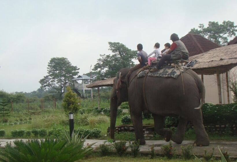 فندق Musa Jungle Retreat