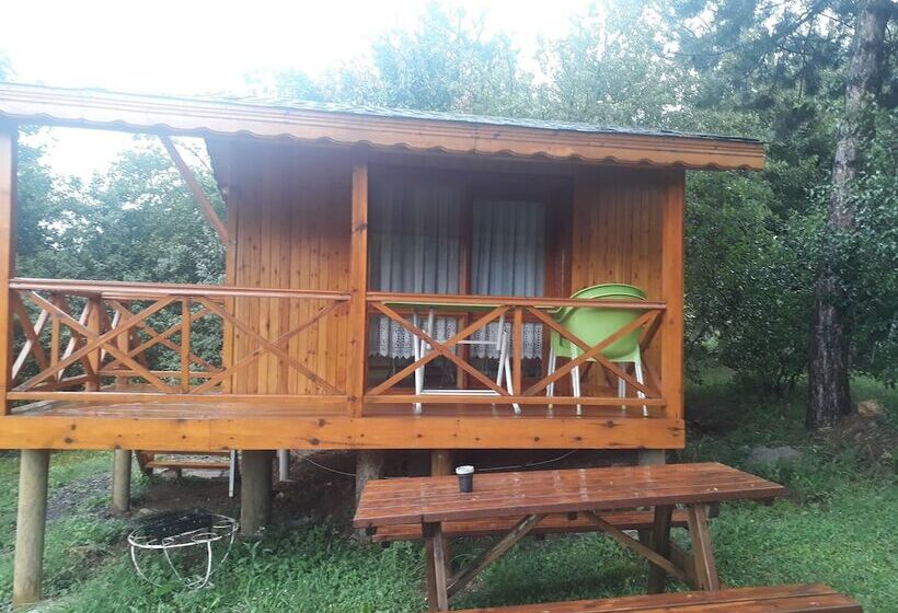 هتل Nesilce Tatil Koyu