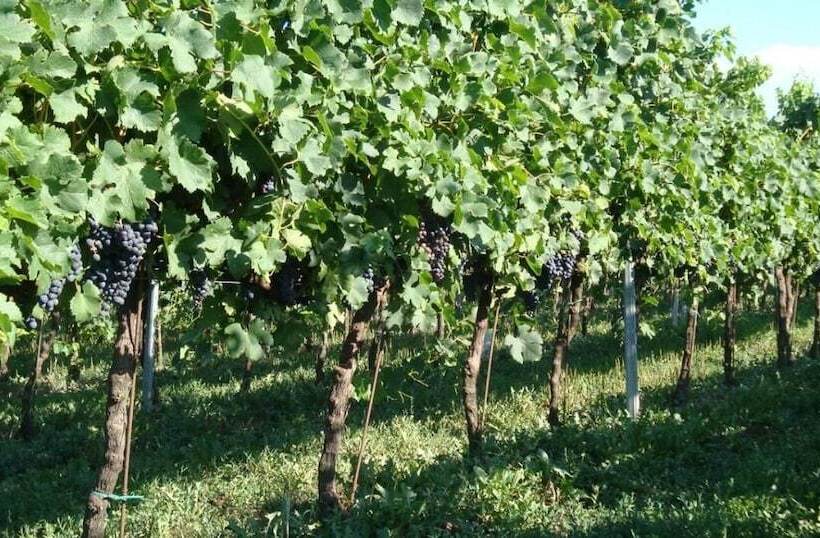 فندق ريفى Ca Guerriera