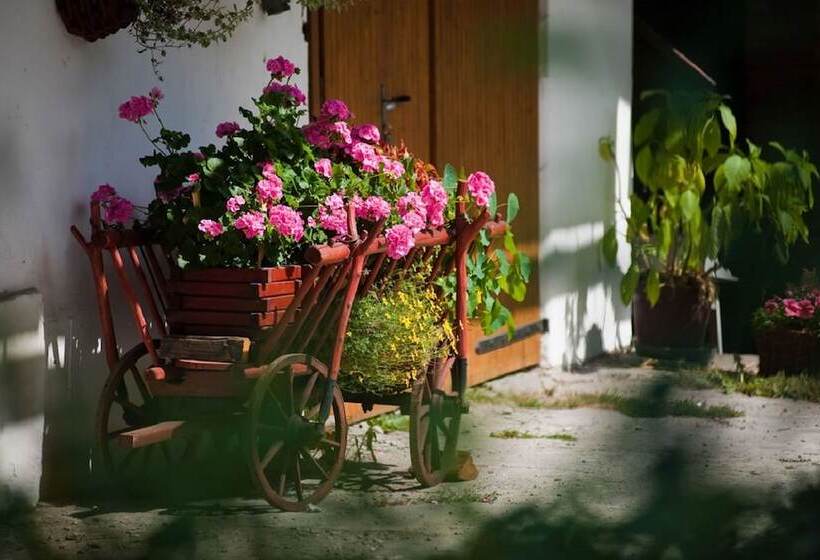 בית מלון כפרי Cichy Zakatek Rabka Zdroj