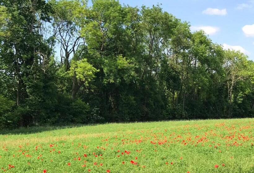 膳宿费 Chambre D Hotes  Coquelicot