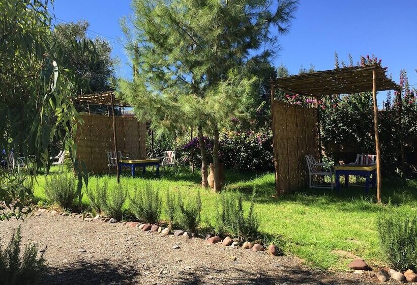 بنسيون Dar Bohota