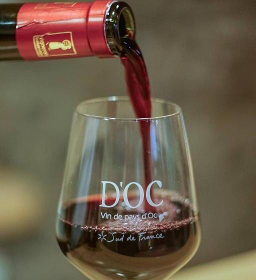 ペンション La Maison Grenadine Près Du Canal Du Midi