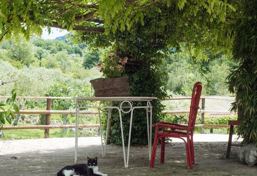 مبيت وإفطار Villa De Luccheri