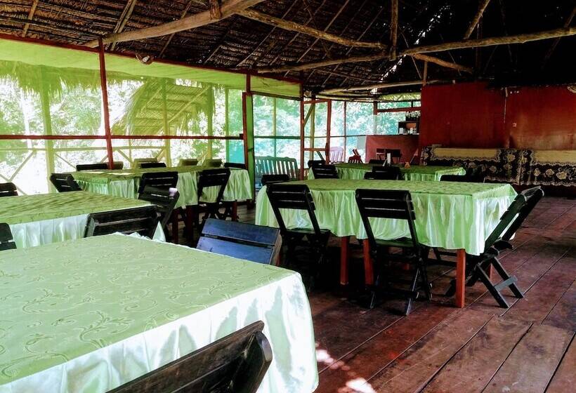 Отель Amazon Queen Lodge