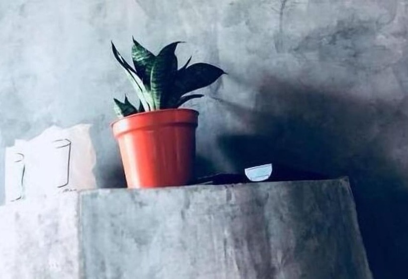 فندق P Loft Hostel