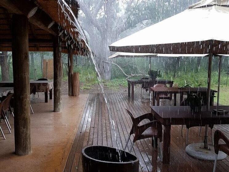 Отель Tembe Elephant Park Lodge