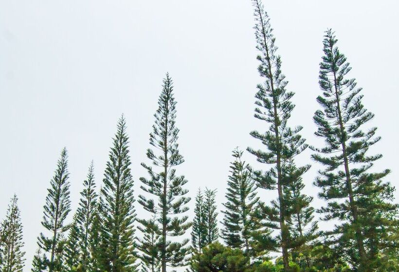 فندق The Natural Garden   Khao Soi Dao