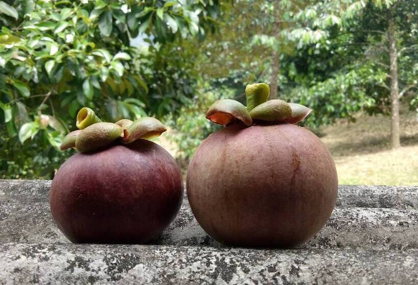 پانسیون Baan Keree Thara Khiri Wong