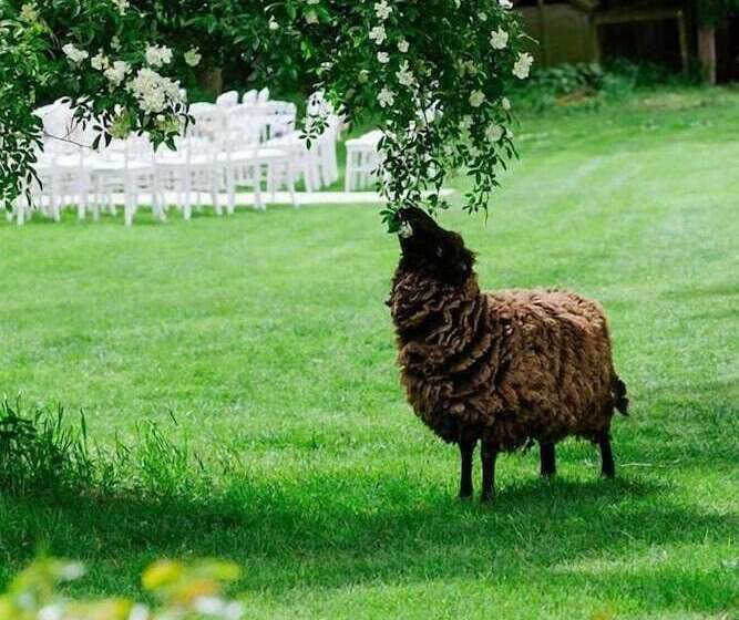 بنسيون Le Mouton