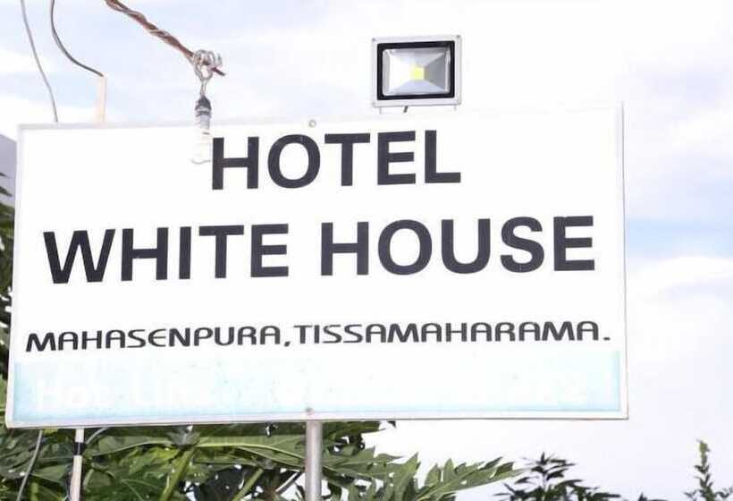 膳宿费 Whitehouse