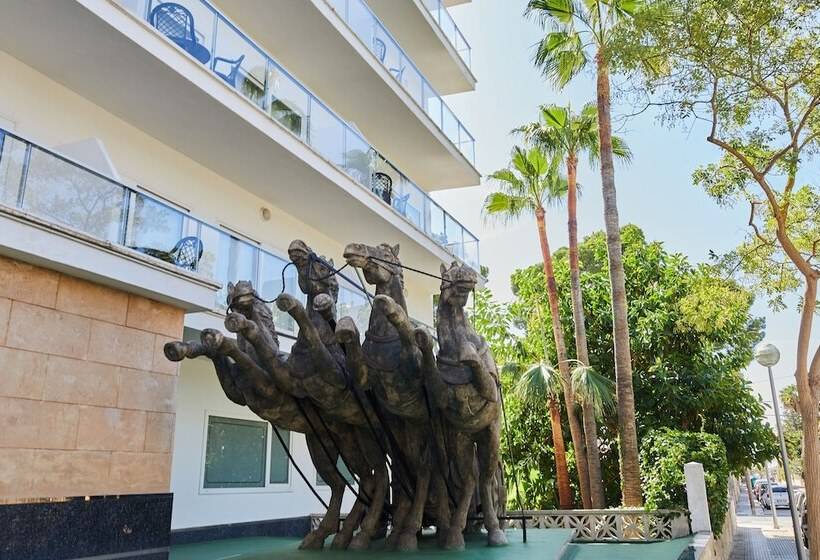 Apartamentos Benhur