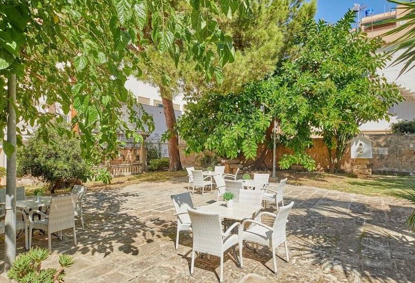 Apartamentos Benhur