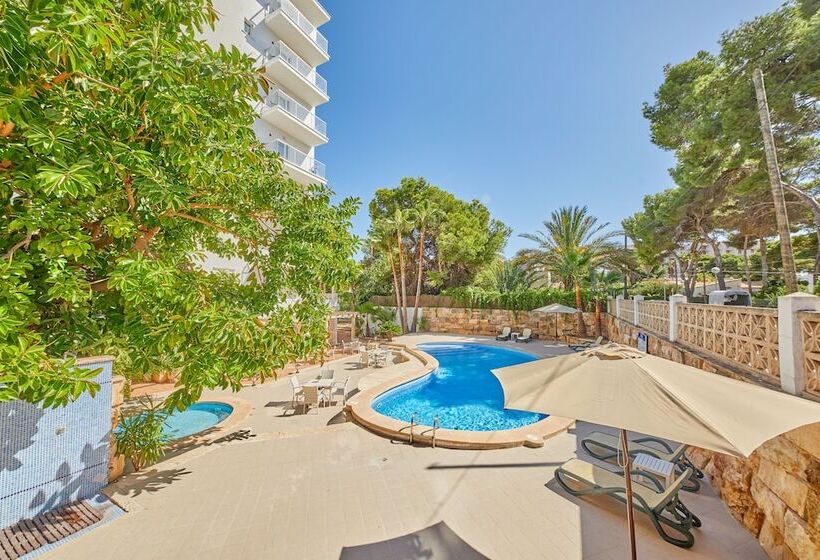 Apartamentos Benhur