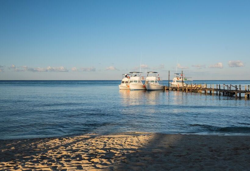 ホテル Iberostar Cozumel