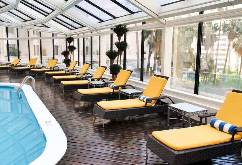 Fotos del hotel Ms Milenium Monterrey Curio Collection By Hilton:  14