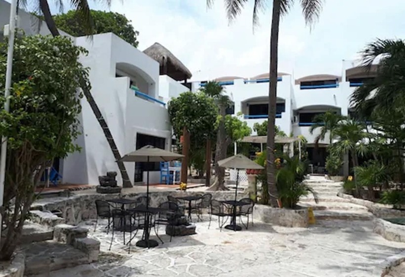 Fotos del hotel Pelicano Inn Playa Del Carmen - Beachfront:  10