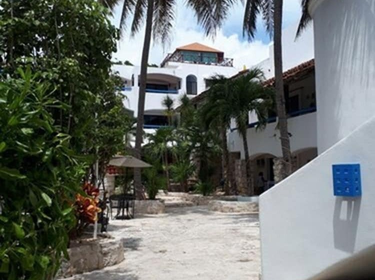 Fotos del hotel Pelicano Inn Playa Del Carmen - Beachfront:  22