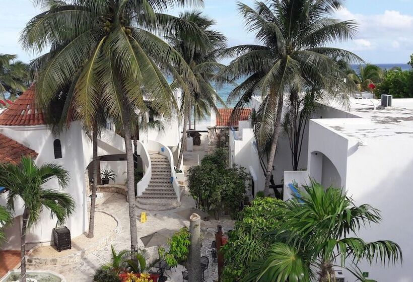 Fotos del hotel Pelicano Inn Playa Del Carmen - Beachfront:  17