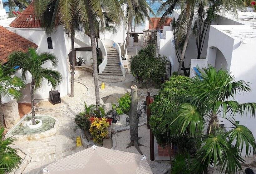 Fotos del hotel Pelicano Inn Playa Del Carmen - Beachfront:  5