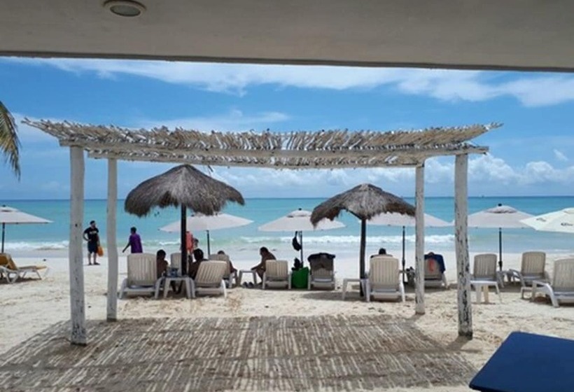 Fotos del hotel Pelicano Inn Playa Del Carmen - Beachfront:  7