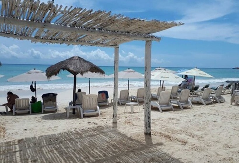 Fotos del hotel Pelicano Inn Playa Del Carmen - Beachfront:  8