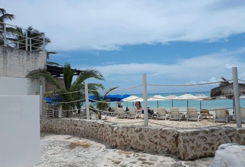Fotos del hotel Pelicano Inn Playa Del Carmen - Beachfront:  3