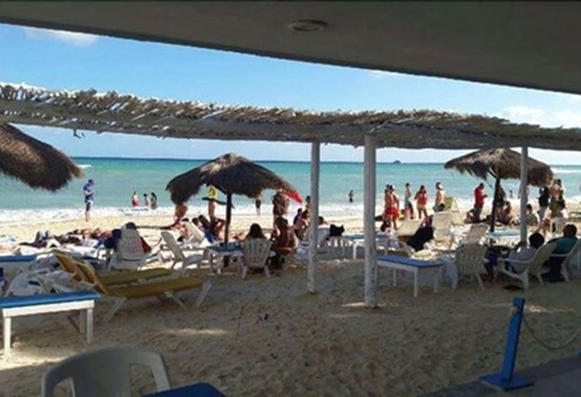 Fotos del hotel Pelicano Inn Playa Del Carmen - Beachfront:  4