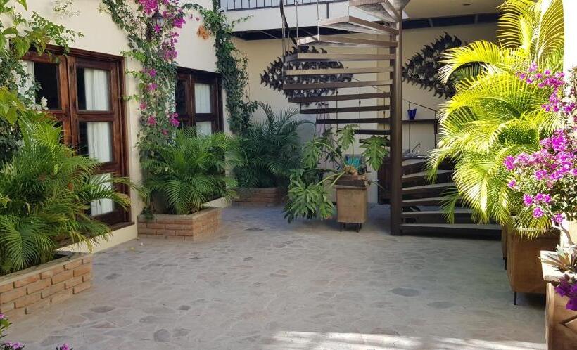 Fotos del hotel Posada De Las Flores La Paz:  10