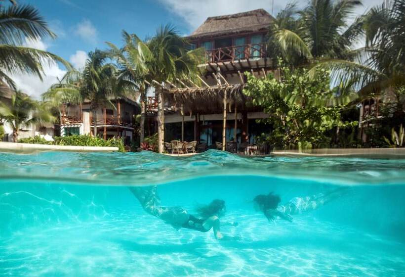 Villas Flamingos