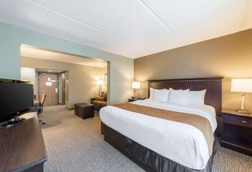 Hotel Comfort Suites Austin Airport