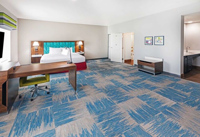 Fotos del hotel Hampton Inn And Suites Houston Central:  8