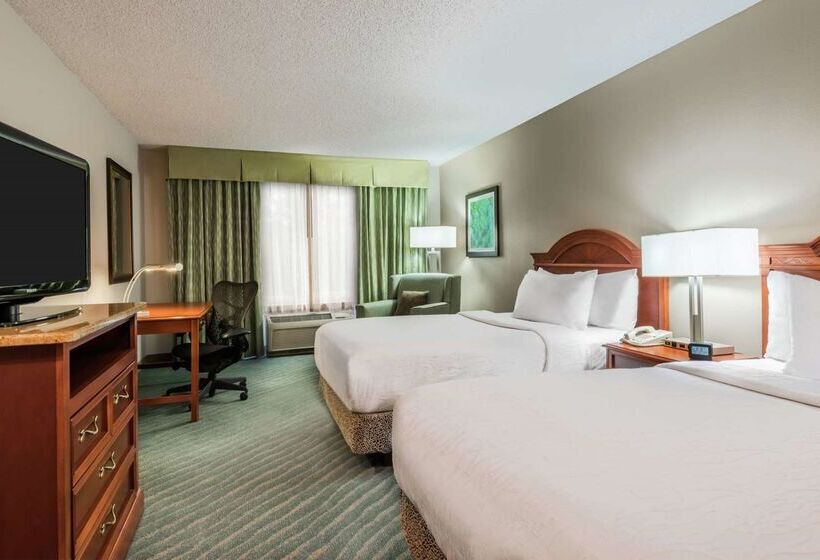 Hotel Hilton Garden Inn Orlando International Drive North