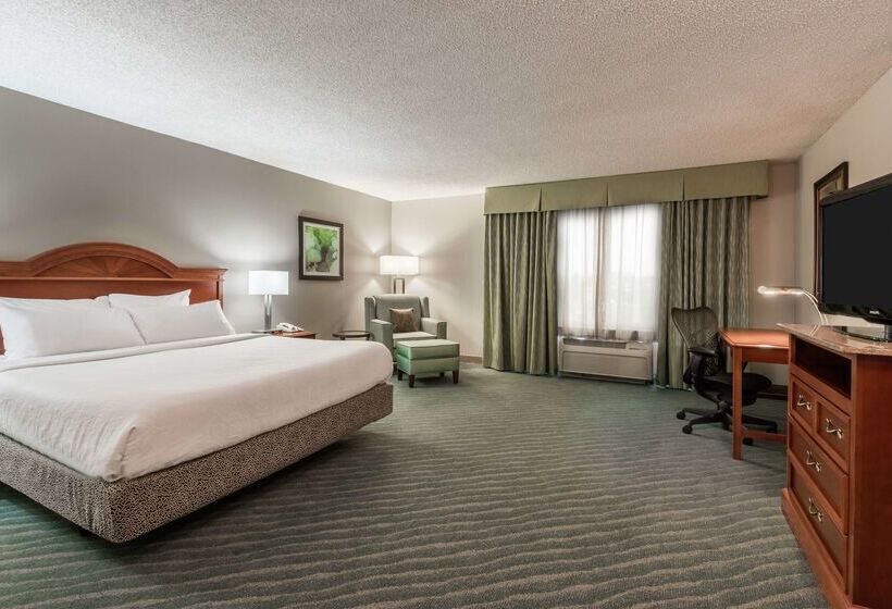 Fotos del hotel Hilton Garden Inn Orlando International Drive North:  2