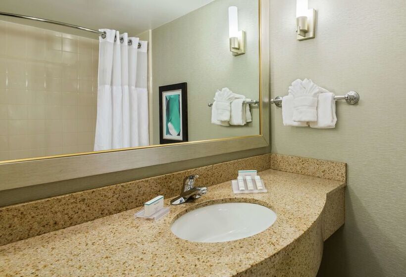 Hotel Hilton Garden Inn Orlando International Drive North