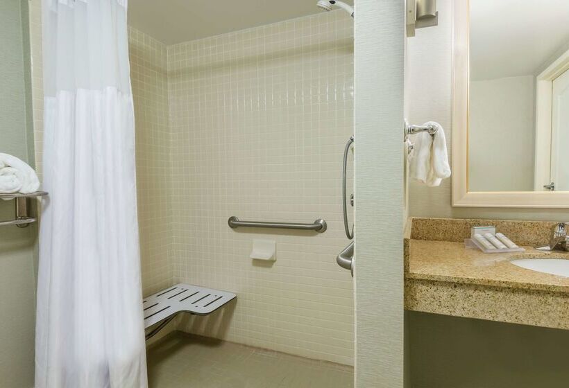 Hotel Hilton Garden Inn Orlando International Drive North